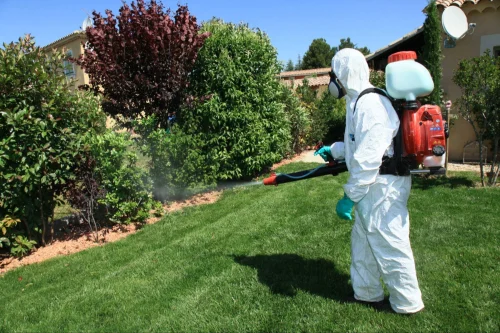 Selma Mosquito Control