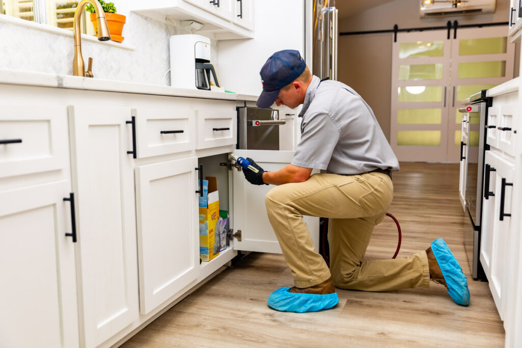 Selma xpert pest management